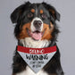 Control My Licker Personalized Dog Bandana