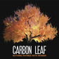 Carbon Leaf - Nothing Rhymes with Woman - Music & Performance - CD